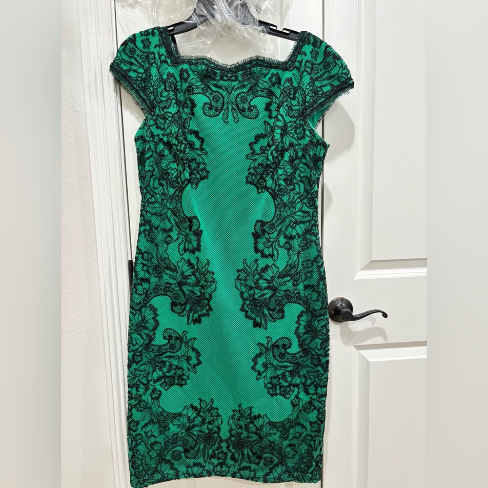 Tadashi Embroidered Green Lace Dress